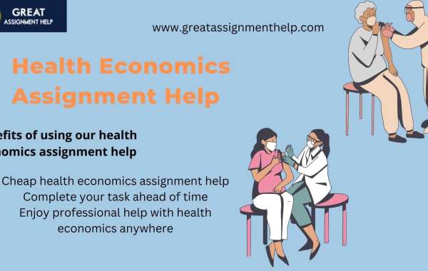 Who Can Provide The Health Economics Assignments In Low Budget?