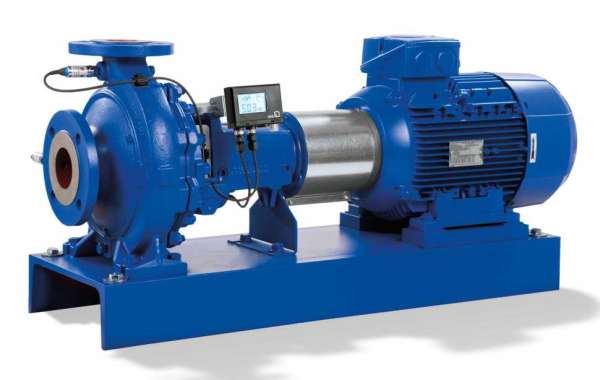 Advantages of a Canned Motor Pump