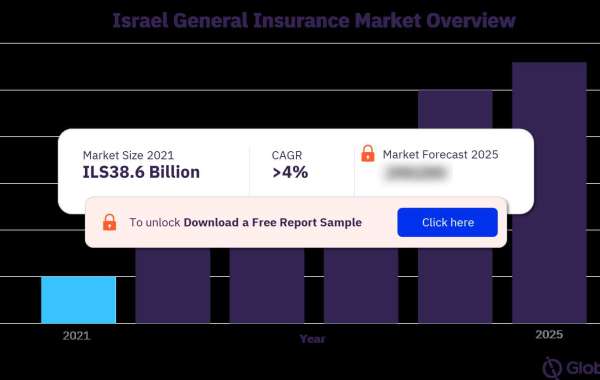 Israel General Insurance Market Size, Examples by Line of Business