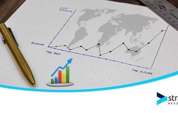 Mycelium Market Set to Soar: 7.8% CAGR Forecast for the Coming Period