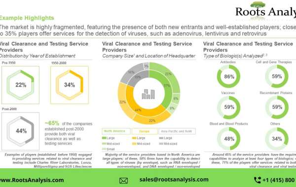 Viral clearance and viral testing services market