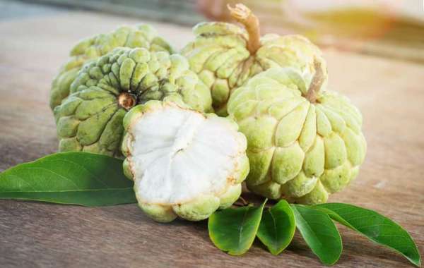 Custard Apples Are Good for Men's Health