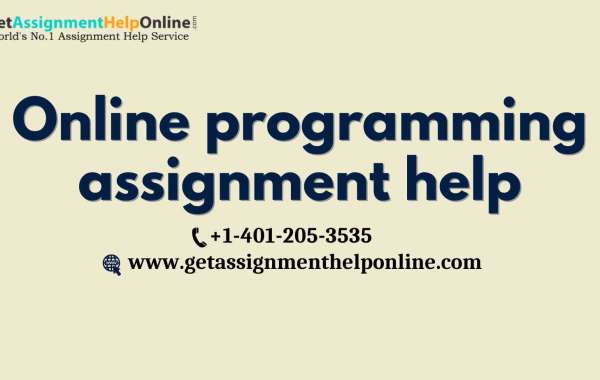 Online Programming Assignment Help