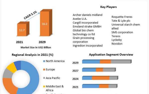 Modified Starch Market Growth, Share, Size, Analysis, Trends, Report and Forecast Period.