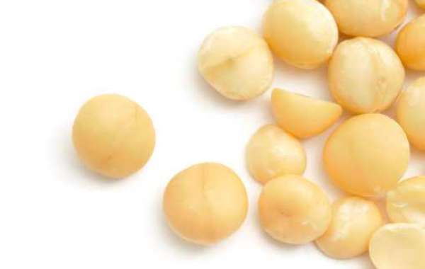 Macadamia Nut Market Size is to grow at a CAGR of 11.23% and reach a value of USD 1.49 billion by 2030.