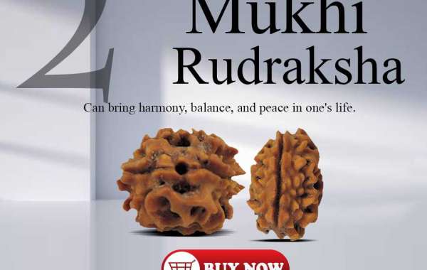 Shop 2 Mukhi RUdraksha In India