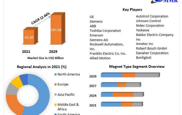 Global Permanent Magnet Motor Market Industry Outlook, Size, Growth Factors and Forecast  2029