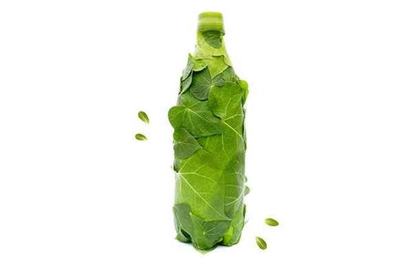 Biodegradable Water Bottle Market Trends & Growth Forecast By 2028