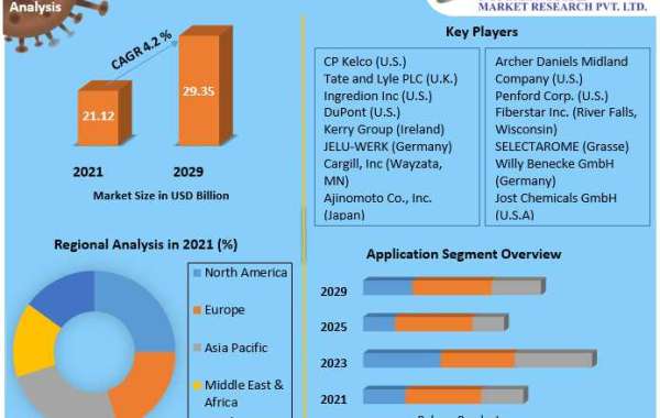 Food Texture Market Key Company Profiles, Types, Applications and Forecast to 2029