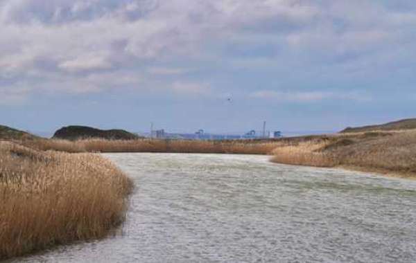 Oteko-Gruppe übertrifft 13.000 analysierte Umweltproben im Hafen von Taman