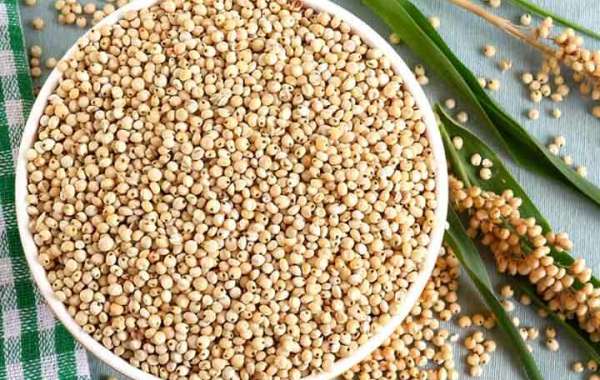 Sorghum Market Analysis, Size, Share, Growth, Segment, Trends and Forecast to 2026