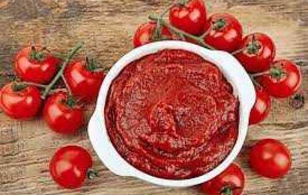 Tomato Paste Market Size, Outlook, Competitive Landscape and Segment Forecasts 2028