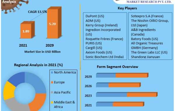 Meat Substitute Market Research, Developments, Expansion, Statistics, Alternatives & Forecast To 2029