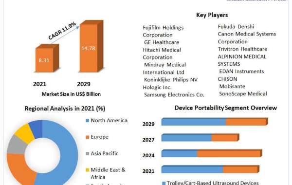 Global Ultrasound Devices Market Growth , Overview, Key Players and Forecast 2029