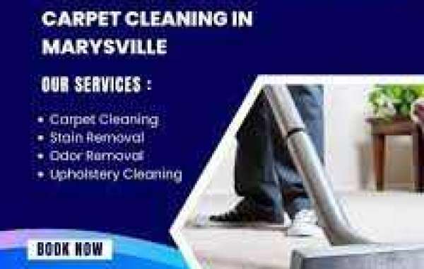 Affordable and Reliable Commercial Carpet Cleaning in Marysville