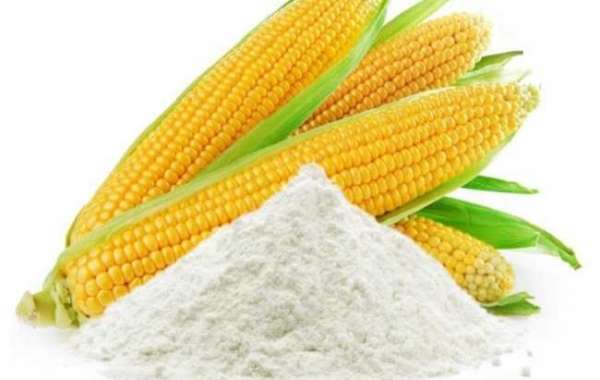 Modified Corn Starch Market Growth and Forecast By 2028