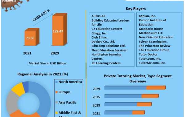 Private Tutoring Market Business Strategy, Analysis And Manufacturers