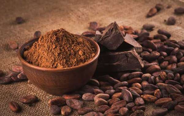 Cocoa Processing Market Size, Share | Global Industry Report by 2028