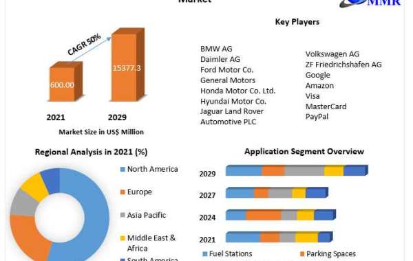 Automotive In-Vehicle Payment Market Product Portfolio, PESTLE Analysis, Geographic Segmentation -2029