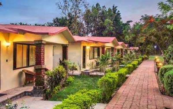 Welcome to the Top Resorts in Jim Corbett