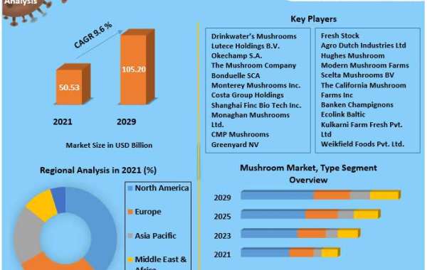 Mushroom Market Share  Global Technology, Application, Products Analysis and Forecast to 2029