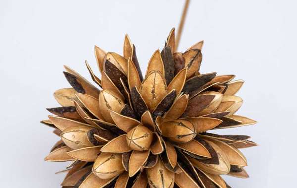 10 Beautiful Ways to Style Dried Flowers and Pampas Grass