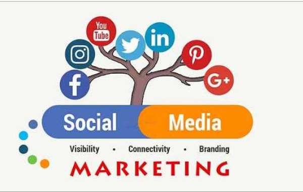 If you are looking for a social media marketing agency in Bareilly