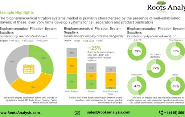 Filtration market Share, Growth Analysis by 2035