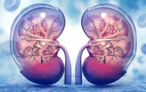 Everything You Ever Wanted to Know About Renal Nutritionist