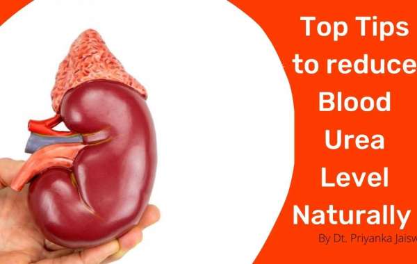 Naturally Lowering How to Reduce Blood Urea