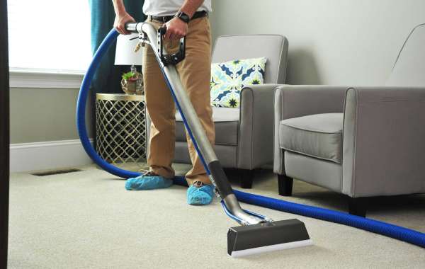 Carpet Cleaner Rental
