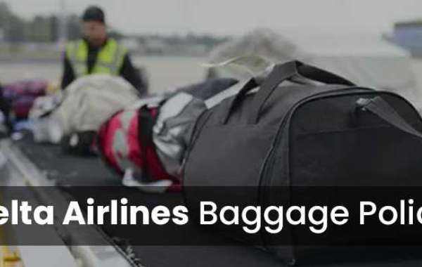 Delta Airlines Baggage Policy: Everything You Need to Know