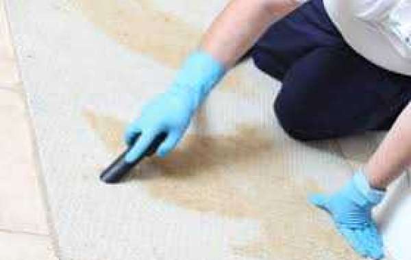 The Astonishing Benefits of Hiring Professional Carpet cleaning Services