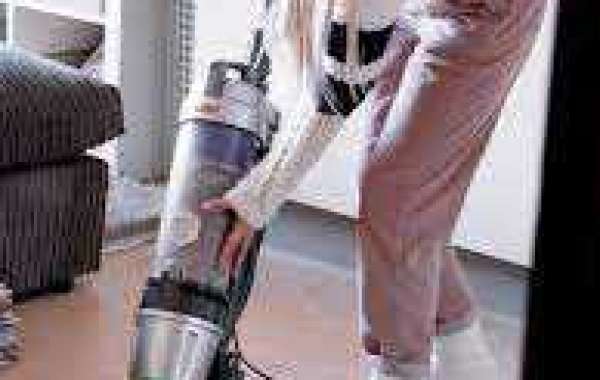 Uncover the Potential of Professional Carpet Cleaning Services