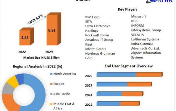 Airport Information System Market Development Trends, Competitive Landscape 2029