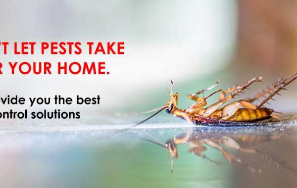 Pest Control Services in Mumbai | Pest Control Services in Navi Mumbai