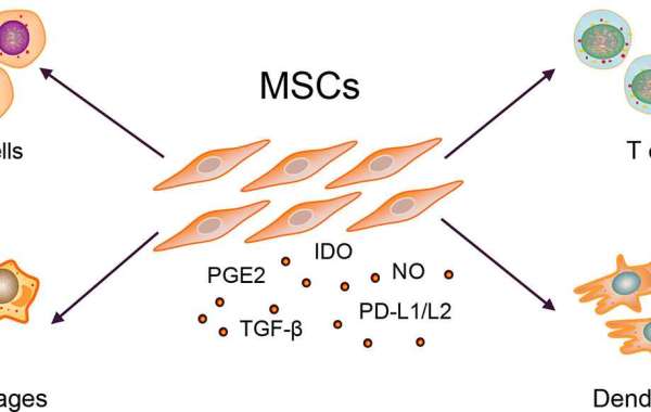 Empowering Lupus Patients: The Role of Stem Cell Therapy in Treatment Plans