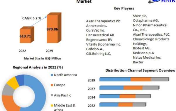 Patient Lifting Equipment Market Revenue Growth Regional Share Analysis and Forecast Till 2029