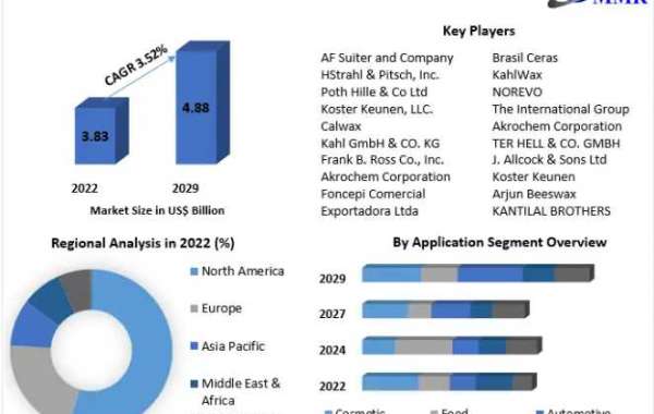 Carnauba Wax Market Statistics and Industry Analysis Detailed in Latest Research 2029