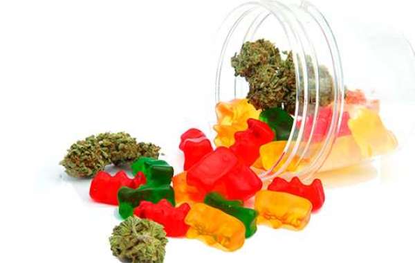 Gummy Goodness: Elevate Your Mood with Canna Labs CBD Delights