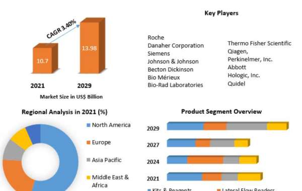 Lateral Flow Assay Market Business Demands, Type and Application, Forecast to 2029