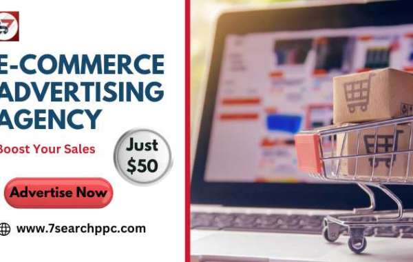 Boost Your Sales with an E-commerce Advertising Agency