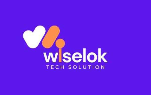 SEO Company In Jaipur - Wiselok Tech Solution