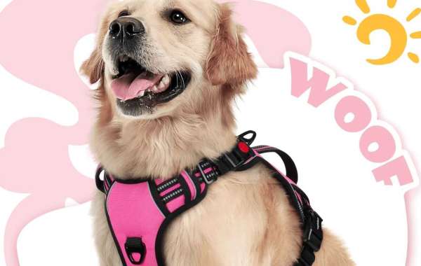 Unlock the Ultimate Comfort and Style with Rabbitgoo Dog Harnesses