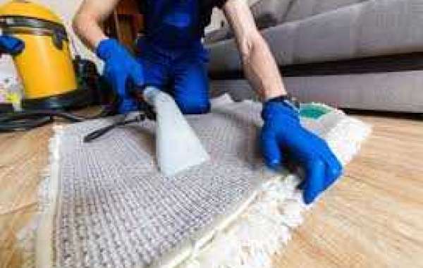 How Professional Carpet Cleaning Improves Home Comfort and Cleanliness