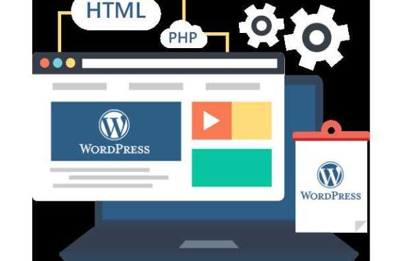 Website799: The Top WordPress Development Company in Delhi