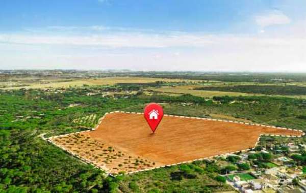 Guide to Buying Residential Plots in Lucknow: What You Need to Know