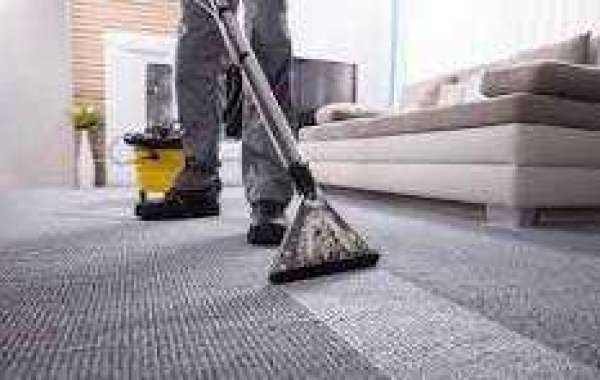 The Benefits of Regular Carpet Cleaning for a Healthier Home