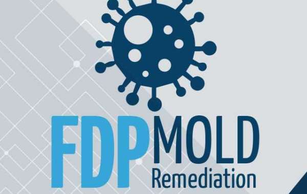 FDP Mold Remediation of Boca Raton