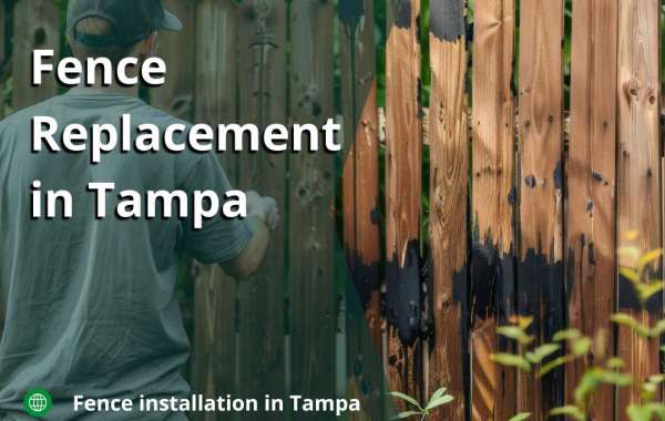 Ultimate Guide to Fence Repairs in Tampa: Everything You Need to Know